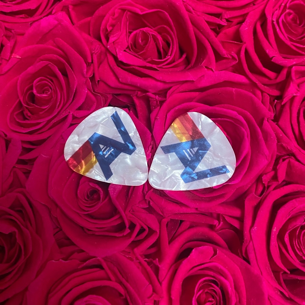 ✨2 Aviator Nation Limited Edition Guitar Picks NEW✨